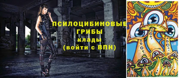 a pvp Магас