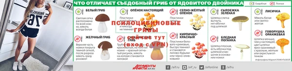 a pvp Магас