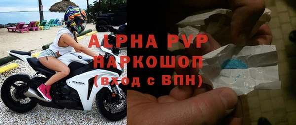 a pvp Магас